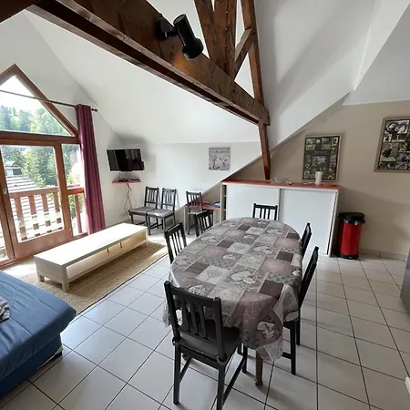 Holiday home T3 Pres Des Pistes, 2 Chambres, Equipe, Navette Gratuite - Fr-1-787-2 Laveissiere